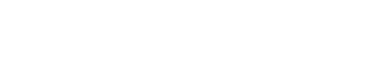 Nevada Escort Service